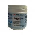 Cordyceps Mrl Comp X 90