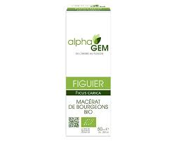 Alphagem Figueira 15ml