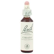 Floral de Bach Cerato