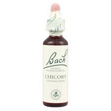 Floral de Bach Chicory