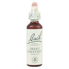 Floral de Bach Sweet Chestnut