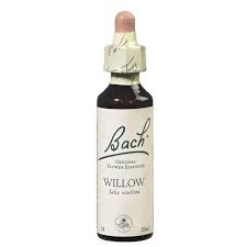Floral de Bach Willow