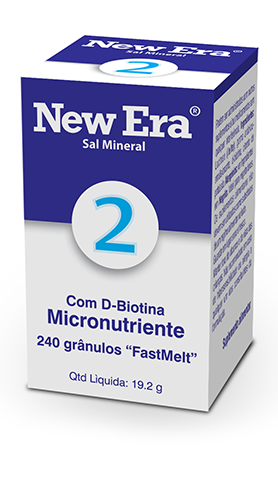 New Era 2 Comp X240