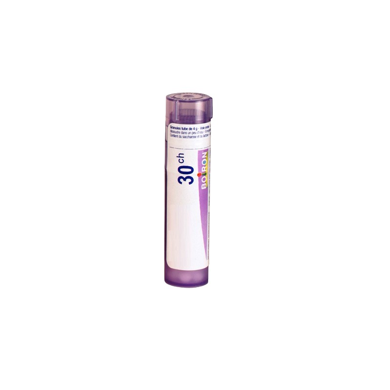 Conium Maculatum Granulo 30ch Boiron